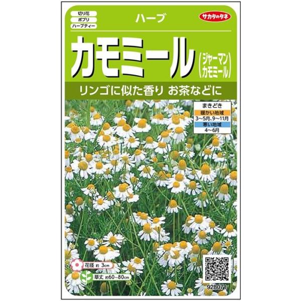 ハーブ種子 カモミール 0 9ml 実咲野菜 北越農事yahoo ショップ 通販 Yahoo ショッピング