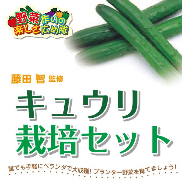 苗 キュウリの人気商品 通販 価格比較 価格 Com