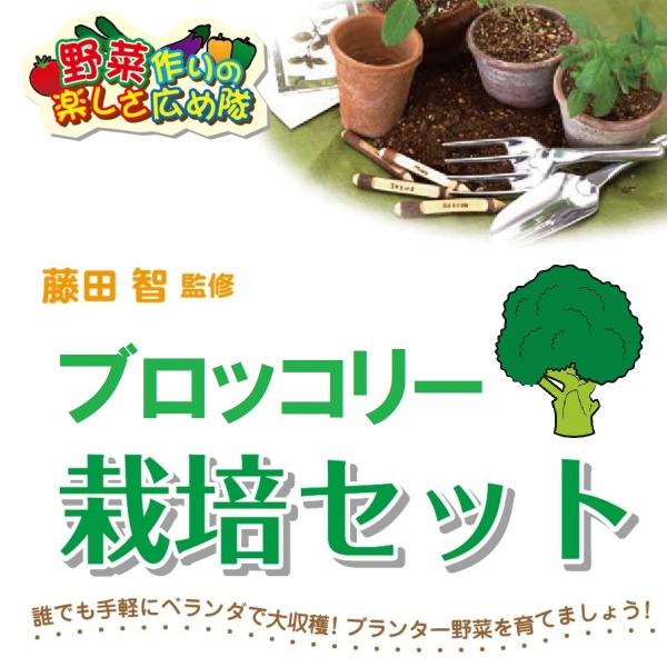 苗 ブロッコリー 種の人気商品 通販 価格比較 価格 Com