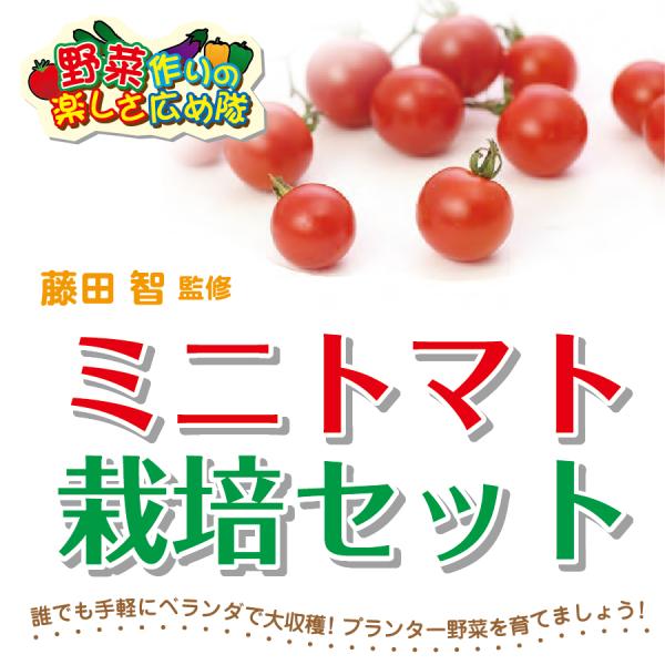 藤田智先生監修　ミニトマト用　栽培セット　苗はついておりません