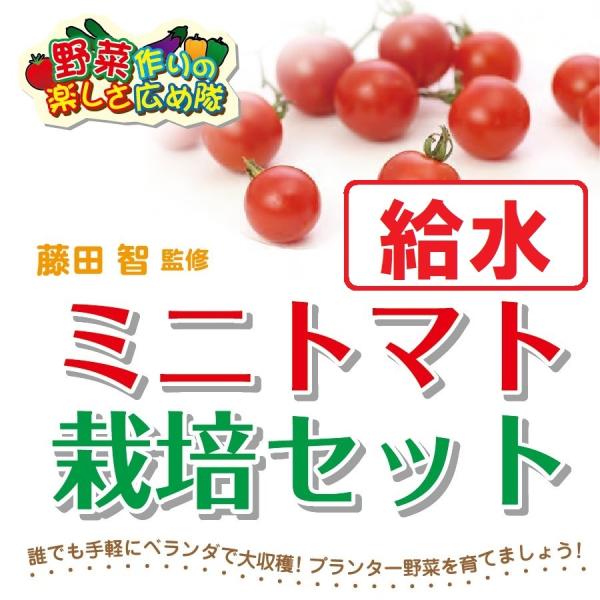 藤田智先生監修　ミニトマト用　給水プランター栽培セット　苗はついておりません