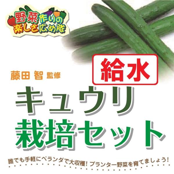 藤田智先生監修 キュウリ用 給水プランター栽培セット 苗はついておりません 北越農事yahoo ショップ 通販 Yahoo ショッピング