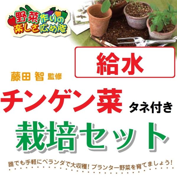 藤田智先生監修 種から栽培セット 給水プランター チンゲン菜のタネつき 北越農事yahoo ショップ 通販 Yahoo ショッピング