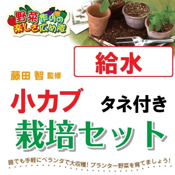 藤田智先生監修 種から栽培セット 給水プランター 小カブのタネつき 北越農事yahoo ショップ 通販 Yahoo ショッピング
