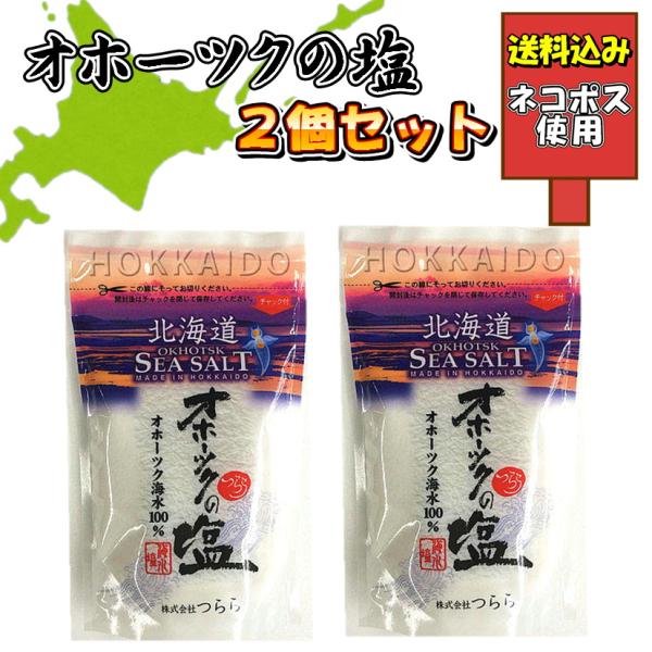 オホーツクの塩 袋入100ｇ ２個入り お試し セット 北海道 グルメ 食品 お土産 惣菜 お取り寄せ 送料込み