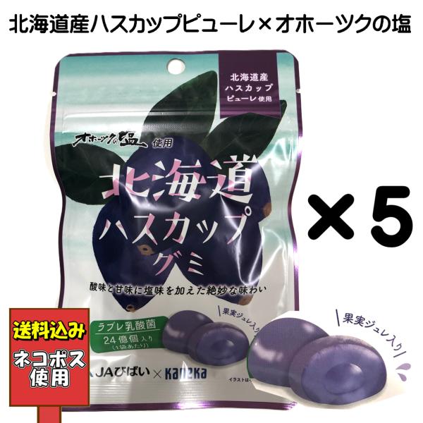 ※こちらは『ネコポス使用送料込み』の商品ページです。他ページ商品との同時購入は出来ません。　【送料込み価格】北海道産ハスカップピューレ＆オホーツクの塩使用酸味と甘味に塩味を加えた絶妙な味わいの果実ジュレをグミの中に閉じ込めました。1袋あたり...