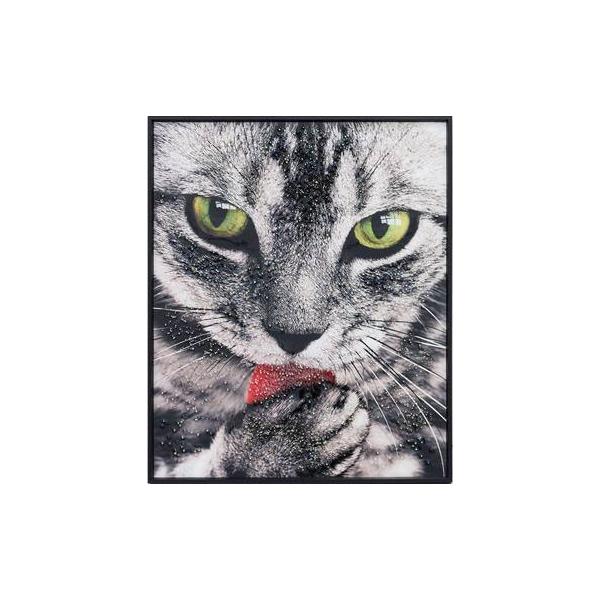 アートフレーム クリスタルピクチャー グルーミング/猫/アメショ