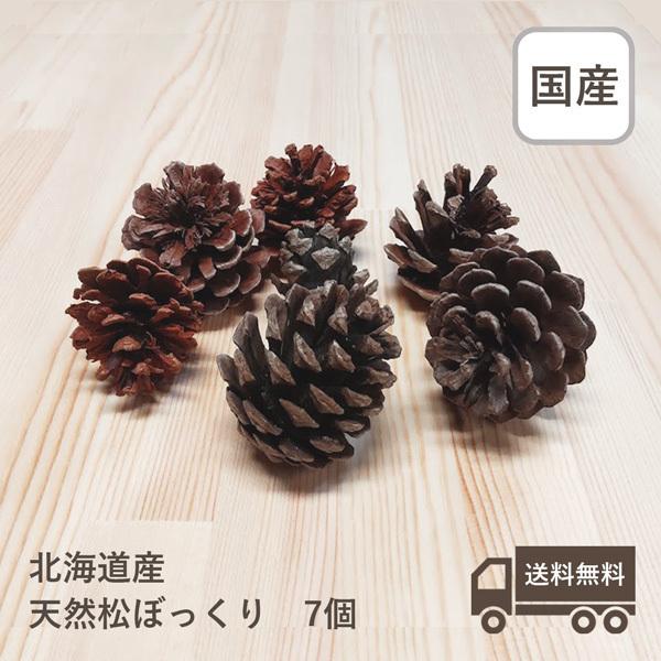 天然松ぼっくり 北海道産 数量限定 まつぼっくり 国産 無添加 無着色 ハンドメイド 工作 クリスマス リース オーナメント matsu 木材 Diy 北零wood 通販 Yahoo ショッピング