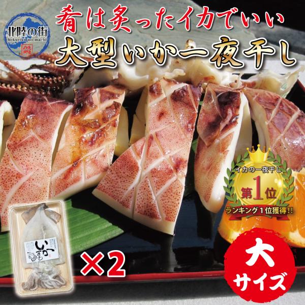 大型のイカを厳選して18℃以下の寒風でじっくり干し上げました。食べ方はやはりマヨネーズ醤油に七味唐辛子がおすすめ　酒が進みますかつては日本中で豊漁が続き安価で庶民の魚だったスルメイカ。今では漁獲高が最盛期の30分の1にまで落ち込んで価格も1...