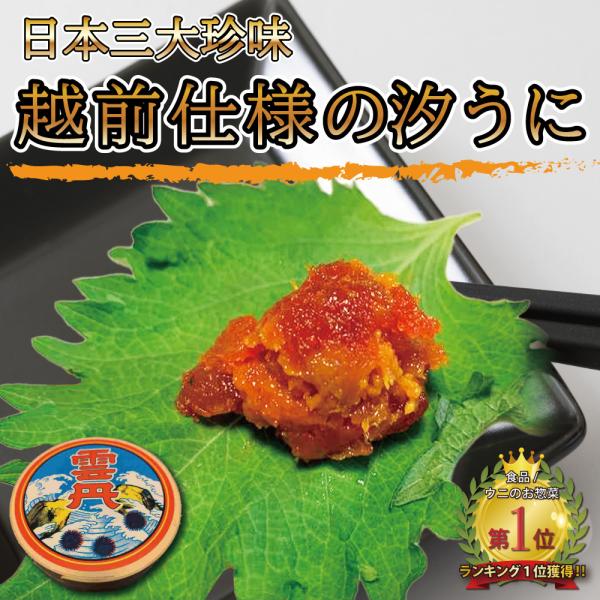 汐うに 50g 越前仕様 日本三大珍味 海鮮 うに 塩うに 塩ウニ 高級珍味 汐ウニ うに ウニ 珍味  越前 福井 北陸応援 父の日