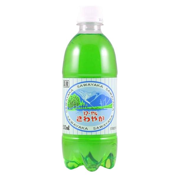 北陸ローヤル さわやか ５００ｍｌ ２４本（１ケース） ＪＰ宅配100サイズ　地サイダー メロンソーダ 純喫茶 レトロ 懐かしの 微炭酸 福井 北陸