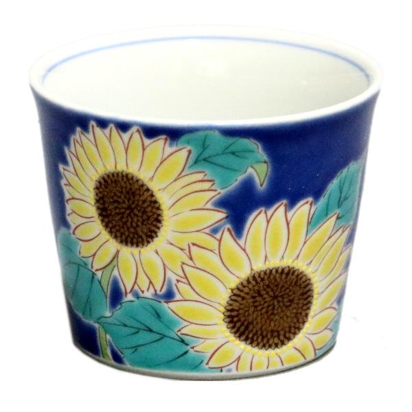 J xqt[JbviΒjЂ܂ lG̉SK-288