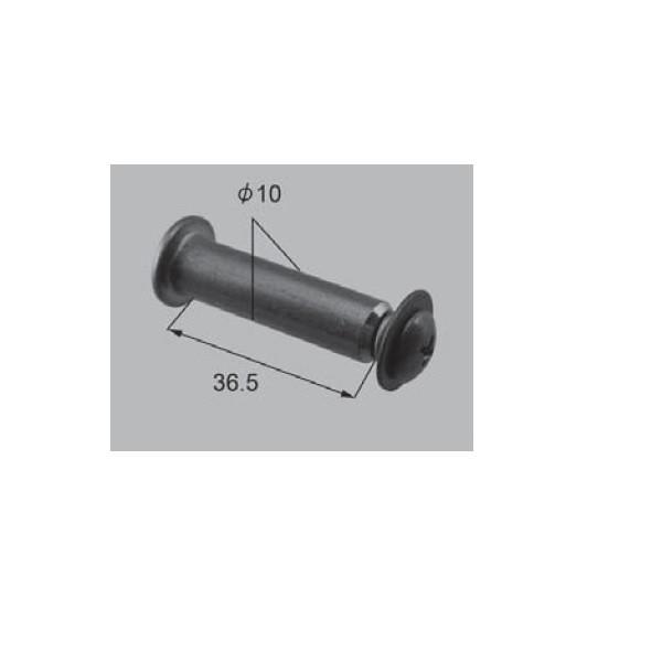 VyGNXeAi Ԍɗp ECOQ[gFqWs L36.5@Vo[iA8BN181Cj