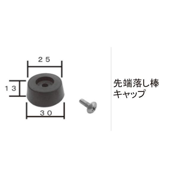 TOEX Ԍɂ܂ Lki As^HGAHG~j(iA_)F[_Lbv[CHB09090A]