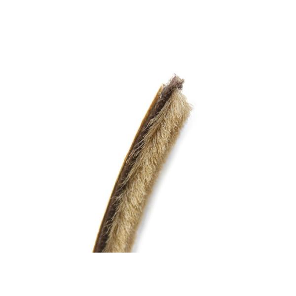 DAIKEN�Z�� ���˘g�����p���w�A�i6mm�j�iPQAHMS6�j