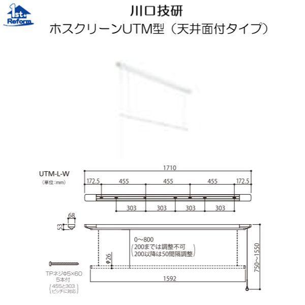 ���t�H�[���p�i ���z���� ���� �����p�����F����Z�� �z�X�N���[���t�s�l�^�i�V��ʕt�^�C�v�j 1710���� ���i�R�[�h 1939-5762