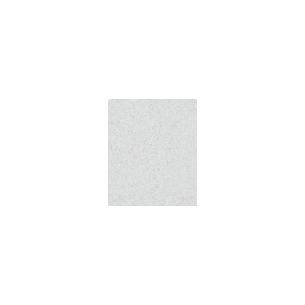 LIXILCpi rOޗpi rk(ˉAaAaq) EV[gFV[g(AF1EK-1) v1200×H2000[NZZZ821]