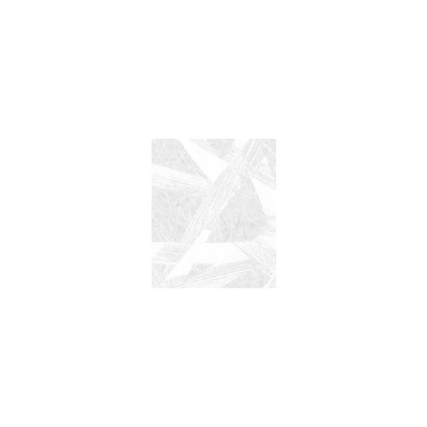 LIXILCpi rOޗpi rk(ˉAaAaq) EV[gFV[gM(AF4EC-2) v1200×H2000[NZZZ825]