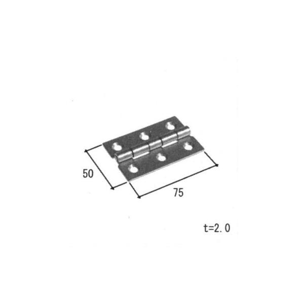 Oi o ԁF(Ęg)[OW664]