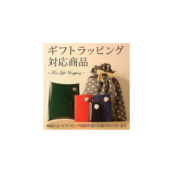一粒 Pt900 ダイヤネックレス ダイヤモンドペンダント ネックレス 鑑定書付 Eカラー Siクラス プラチナ プラチナ 0 3ct 6本爪 Excellent Siクラス Excellent 中央宝石研究所ソーティン Ds ほくとく