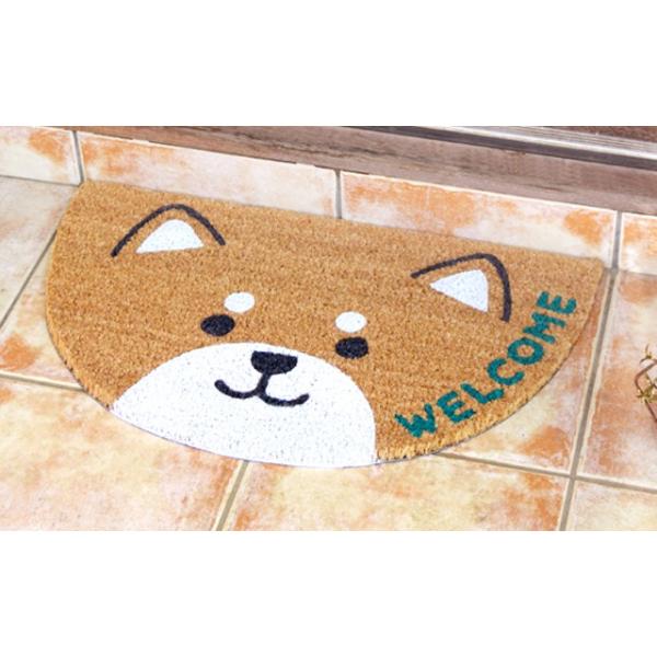 nCAG CeA nCA G RRibc փ}bg (Z~T[N Aj}/CkEČ) Op RC[}bg nC