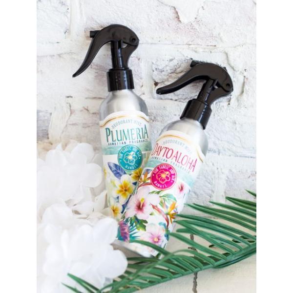 nCA [Xv[ [~Xg  L 200ml(vA/XN/An) nCA G