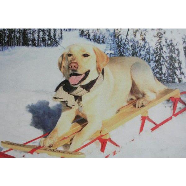 nCAG nC G nCABIGJ[hDOG FLYER2[֑Ή@ nC yY yY ݂₰