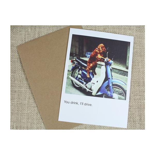 nCAG nC G nCA apJ[h DOG X[p[Ju[֑Ή@ nC yY yY ݂₰