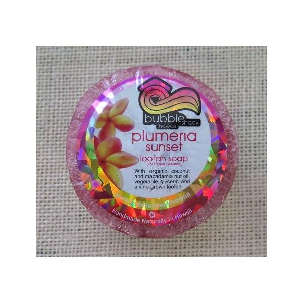 nC yY (ouVbN)Bubble Shack Hawaii [t@[\[v(vA) nCAG nC G yY ݂₰