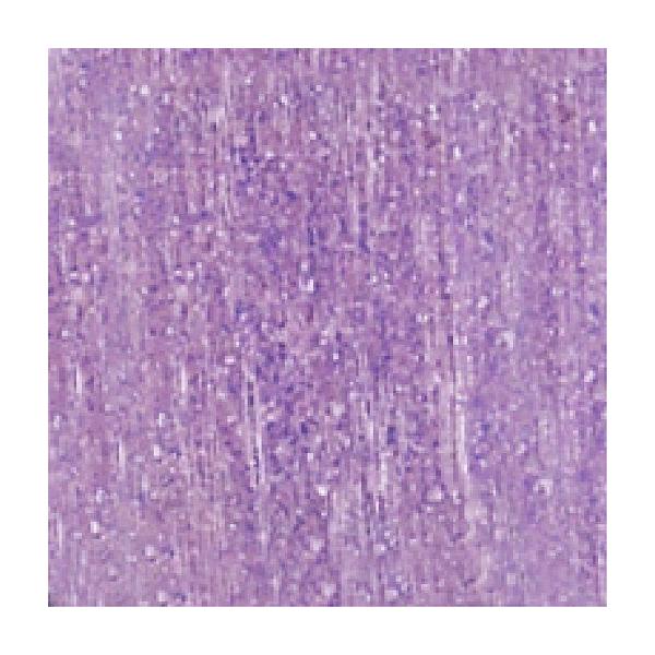 ���É����U�C�N siel glass�V�G���O���X 20�p���\�� �v���[�� SEL-20-08