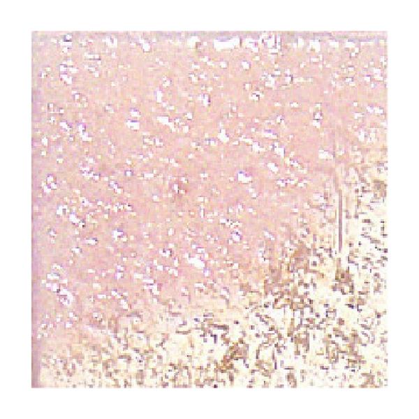 ���É����U�C�N siel glass�V�G���O���X 20�p���\�� �O���i SEL-20-202