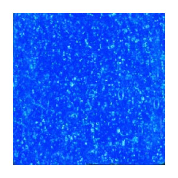 ���É����U�C�N siel glass�V�G���O���X 20�p���\�� �v���[�� SEL-20-31