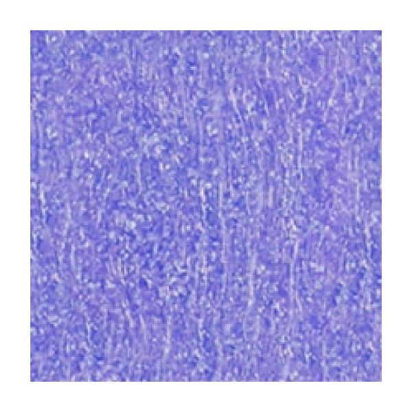 ���É����U�C�N siel glass�V�G���O���X 20�p���\�� �v���[�� SEL-20-53