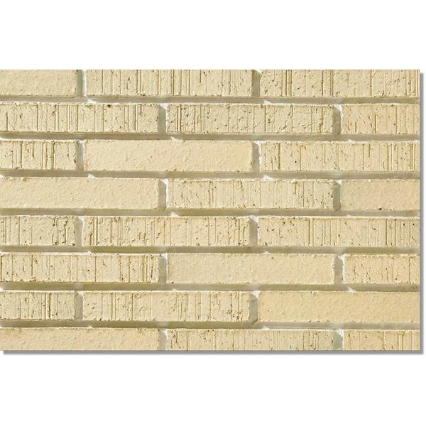 jb^CHƊ Oǃ^C qʁ`悤񂳂`iڒܒH@j YES-6-10 {[_[