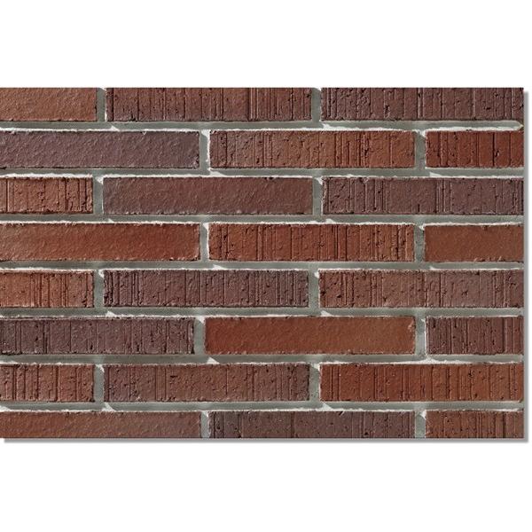 jb^CHƊ Oǃ^C qʁ`悤񂳂`iڒܒH@j YES-6-30 {[_[