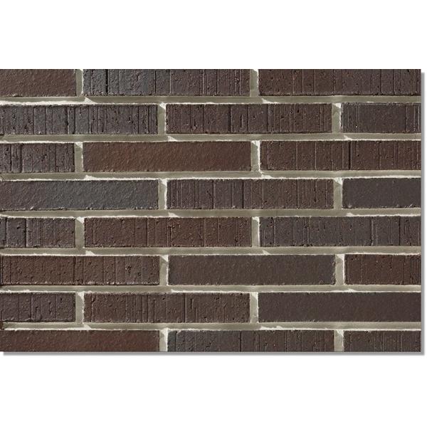 jb^CHƊ Oǃ^C qʁ`悤񂳂`iڒܒH@j YES-6-40 {[_[