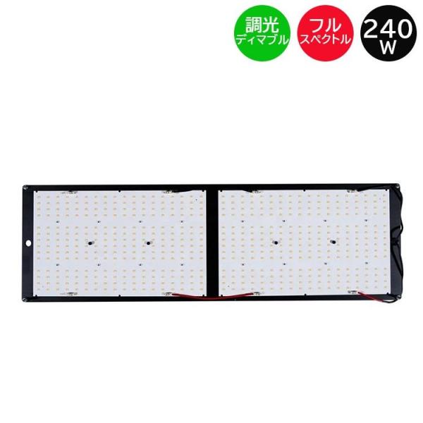 FLX 240 QB LED植物育成灯 240W : 室内園芸専門店 Home Grown - 通販