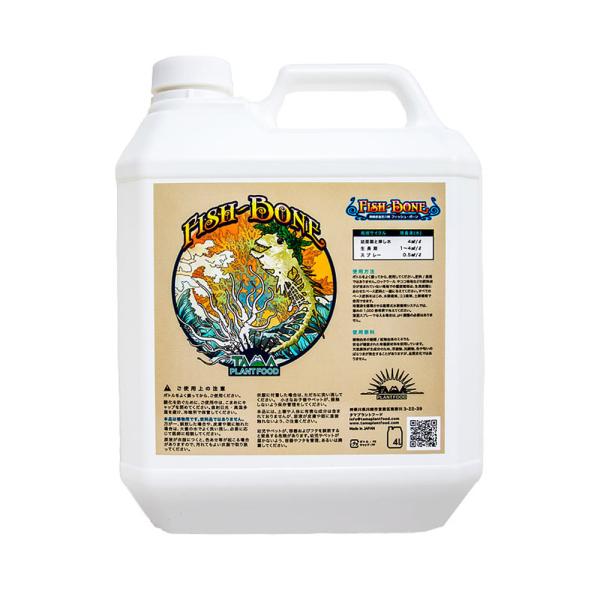 Fish-Bone (フィッシュ・ボーン) 4L : 室内園芸専門店 Home Grown