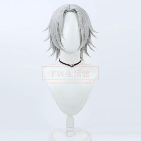 家庭教師 ヒットマン REBORN！獄寺隼人 コスプレウィッグ かつら WIG