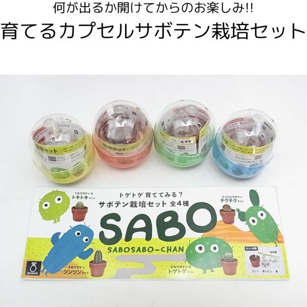 開けてからのお楽しみ！育てるカプセルサボテン栽培セット。ガチャガチャ感覚で、どんなサボテンが入ってるかわくわくする栽培セットです。サボテンはゆっくりと発芽、発育するので永く楽しむことができます。（発芽には個体差があり、早くて10日、遅い場合...