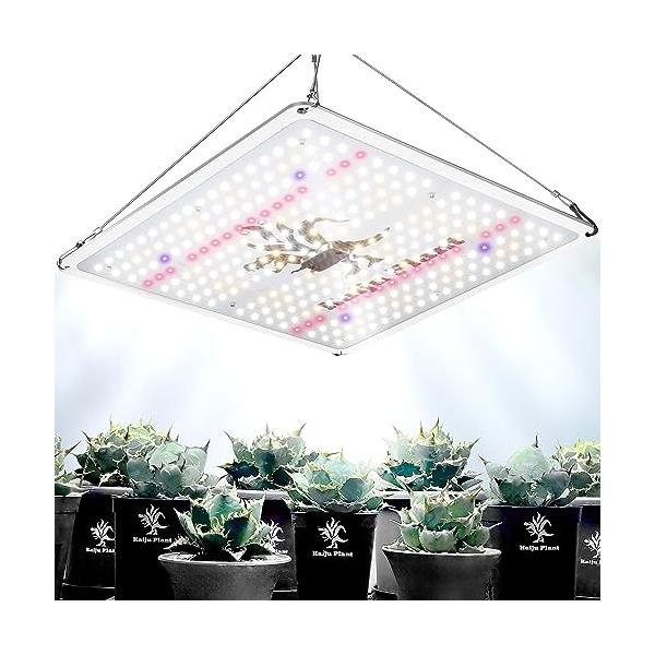 Kaiju Plant 植物育成ライト 怪獣フレア まるで太陽のような