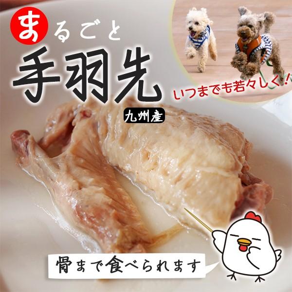 まるごと手羽先のやわらか煮 Teba ホームメイドわんごはん 自然療法 通販 Yahoo ショッピング