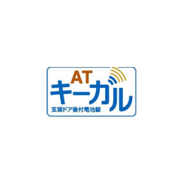 送料無料 三協立山アルミ 玄関ドア Psタイプ サムターン用 後付電池錠 Atキーガル リモコンキー セット シリンダー 1個分セット Varbna 1 Homematerial 通販 Yahoo ショッピング