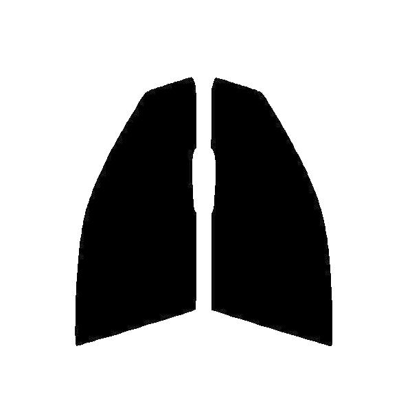 GHOST2 NEO(S[Xg2 lI) I[79@^]ȁAȁ@AEfB@A4Aog@8EALTE8EBFBE8EBWEFE8EAUKF Jbgς݃tB