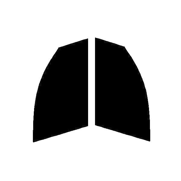 GHOST2 NEO(S[Xg2 lI) I[79@^]ȁAȁ@AEfB@Q5@8R Jbgς݃tB