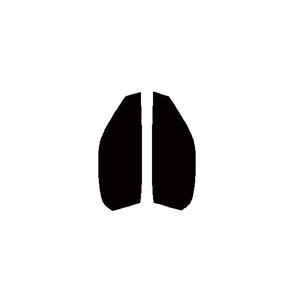 GHOST2 NEO(S[Xg2 lI) I[79@^]ȁAȁ@}c_@RX-7 FD3S Jbgς݃tB