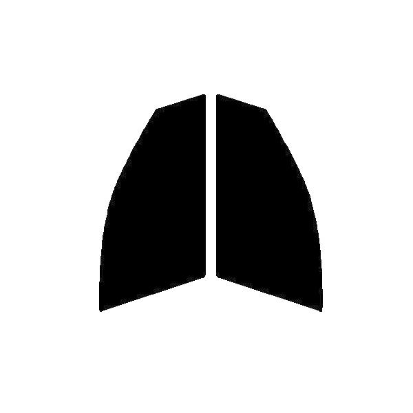 GHOST2 NEO(S[Xg2 lI) I[79@^]ȁAȁ@ZfXExc CNX@Z_@W204 Jbgς݃tB