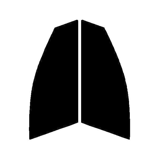 GHOST2 NEO(S[Xg2 lI) I[79@^]ȁAȁ@ZfXExc ANX@W176 Jbgς݃tB
