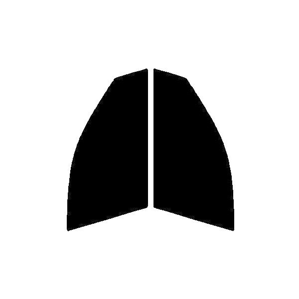 GHOST2 NEO(S[Xg2 lI) I[79@^]ȁAȁ@ZfXExc ENX@Z_@W211 Jbgς݃tB