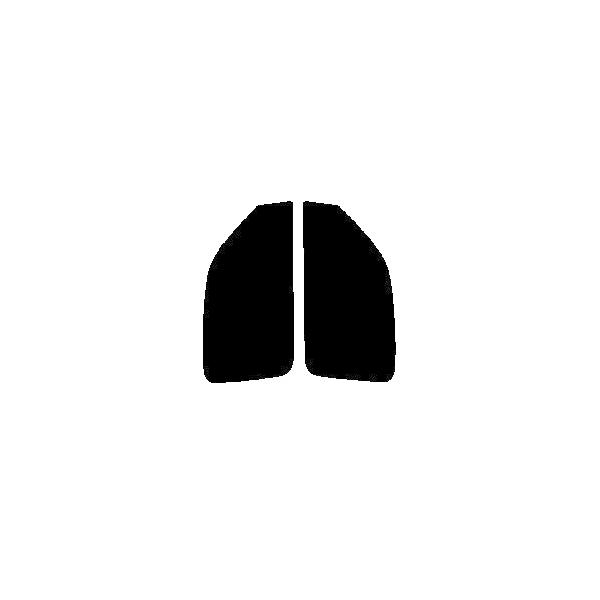 GHOST2 NEO(�S�[�X�g2 �l�I) �I�[����79�@�^�]�ȁA����ȁ@�}�[�` 3�h�A K11�EHK11�EANK11�EAK11 �J�b�g�ς݃t�B����